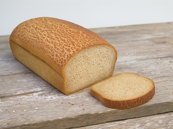 Bruin tijger